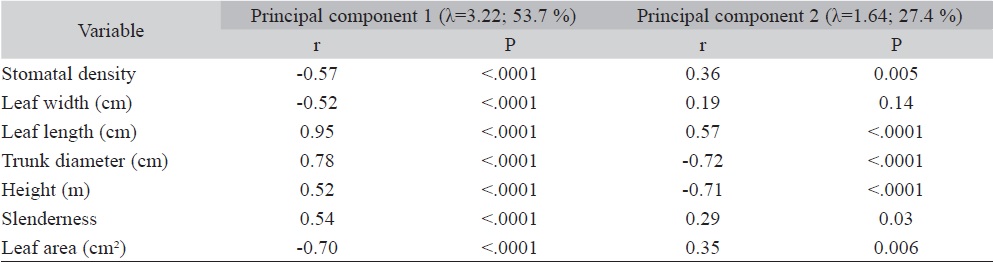 Correlation coefficients (R) and their significance value (P) between the biological data set (stomatal density, leaf width, leaf length, stem diameter, tree height, slenderness, and leaf area) and the first and second principal components that synthesize them. The eigenvalue (λ) and percent of the data variability accounted by principal each component are shown in the second upper row