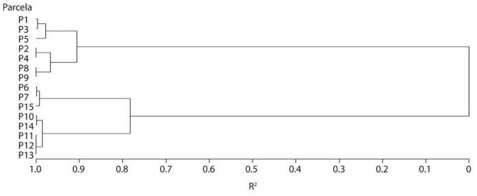 grouping vegetation units sampled by floristic similarity in Santa Rosa reserve within the protected area of Tisey-Estanzuela, Estelí, Nicaragua. Cluster analysis based in the relative importance value of the species.