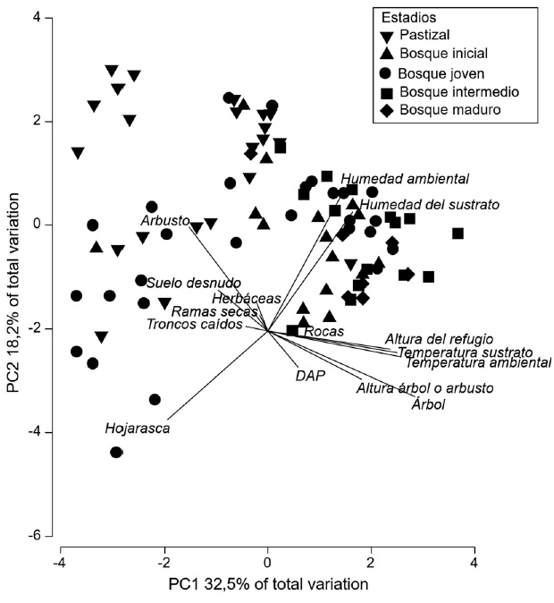 PCA biplot representing the different environmental variables in relation to successional stages of the dry tropical forest in the region of Chamela, Jalisco, Mexico.