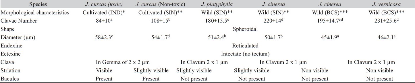 Clavae count and comparative pollen study of Jatropha, two cultivated and four wild varieties.