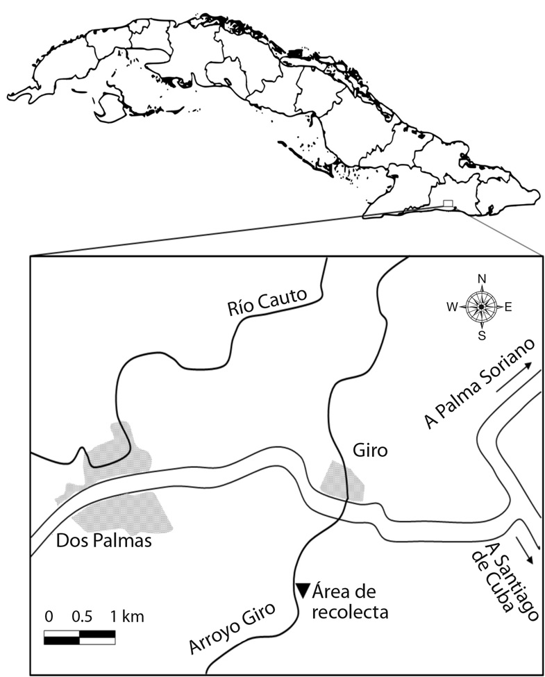 Geographical location of lotic habitat in Giro, Santiago de Cuba, Cuba.