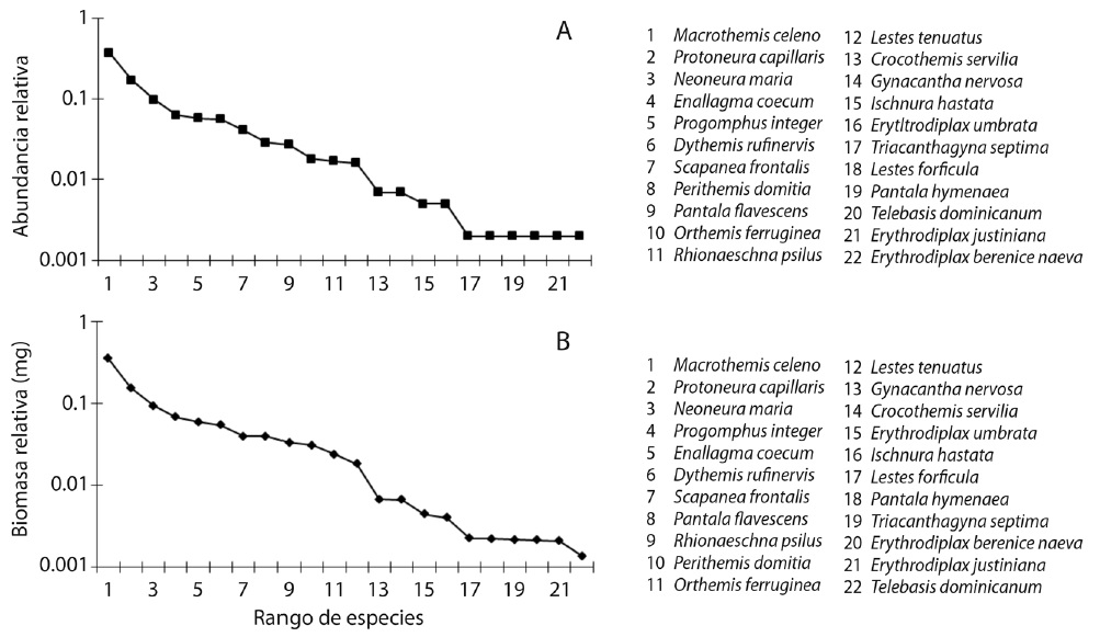 Curves of rank abundance (A) and relative biomass (B) of Odonata species collected between January and December 2008, in a lotic habitat at Giro, Santiago de Cuba, Cuba.