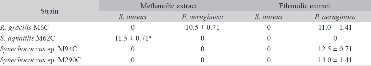 Activity of cyanobacterial strains extracts against P. aeruginosa and S. aureus