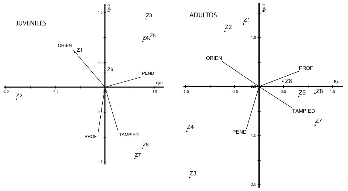 Ordination diagram of the canonical correspondence analysis (CCA) indicating the influence of the ecological factors: site orientation (ORIEN), slope (PEND), soil depth (PROF), and size of stones (TAMPIE) on the architecture of saplings and adults individuals of Hintonia latiflora in the eight harvesting zones. Z = harvest zone.