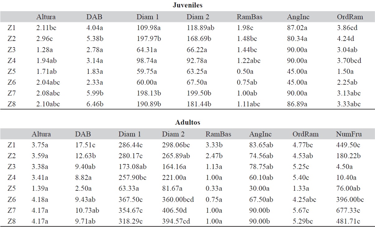 Variación de los caracteres morfológicos de individuos juveniles y adultos entre zonas de cosecha de H. latiflora de la Cuenca del Balsas, Guerrero, México.