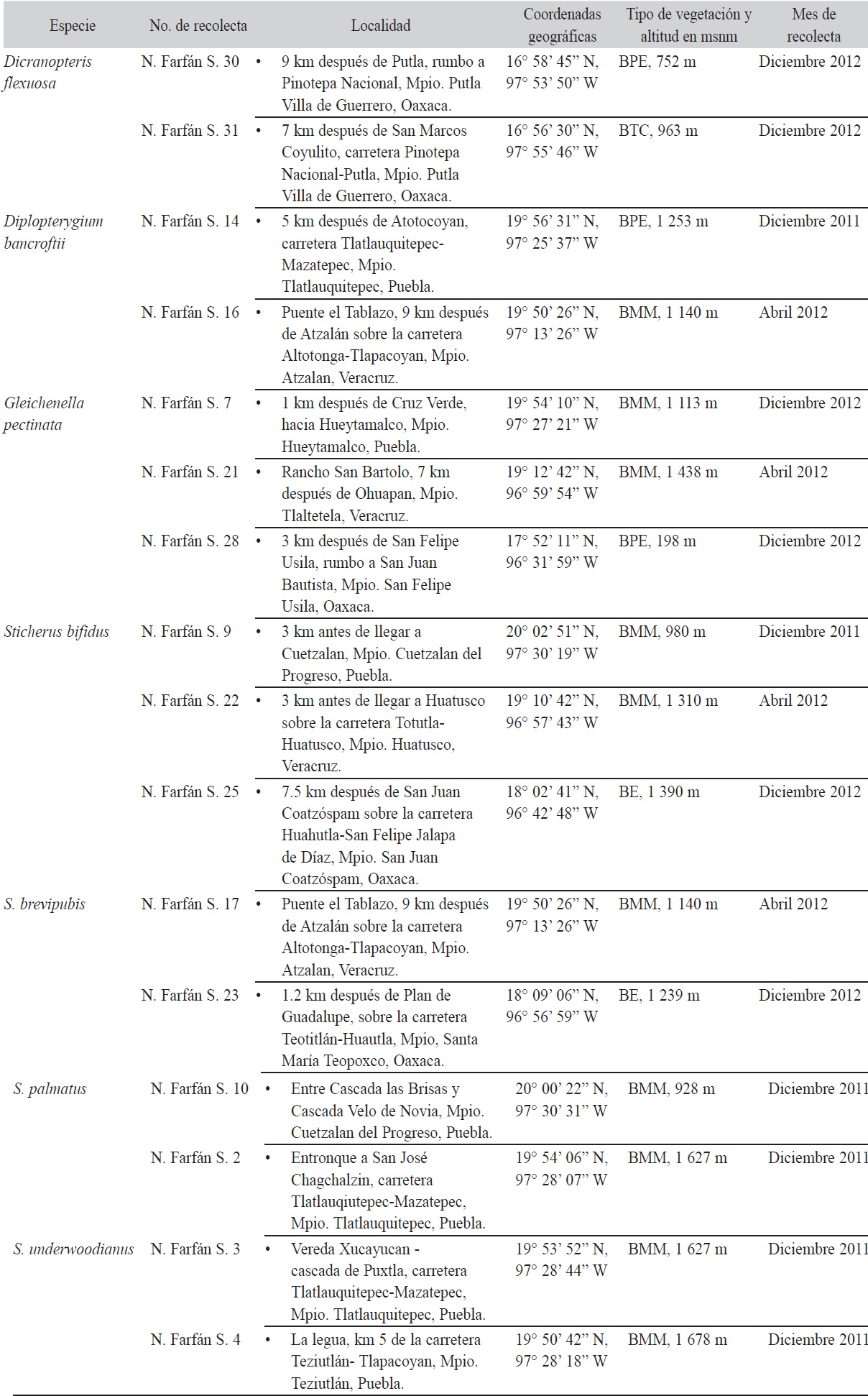 G&eacute;neros y especies de la familia Gleicheniaceae recolectadas en el campo.