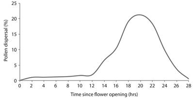 Graphical representation of hourly pollen presentation from dehisced anther through time since flower opening in Clerodendrum indicum.