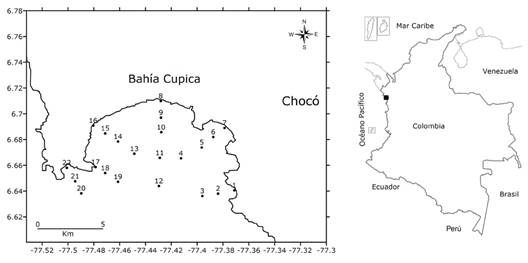 Distribution of the 22 sampling stations in Bah&iacute;a Cupica, Choc&oacute;, north of the Colombian Pacific. The black box shows the location of Bah&iacute;a Cupica in Colombia.