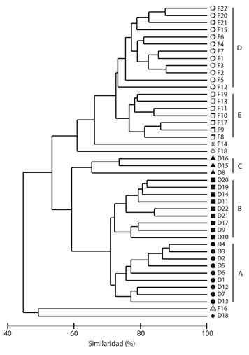Cluster analysis of the copepod community in Bah&iacute;a Cupica during December 2012 and February 2013. The symbols represent the significance of the cluster (SIMPROF, P < 0.01), the letter identifies the period (D: December 2012, F: February 2013) and the number identifies the sampling station.