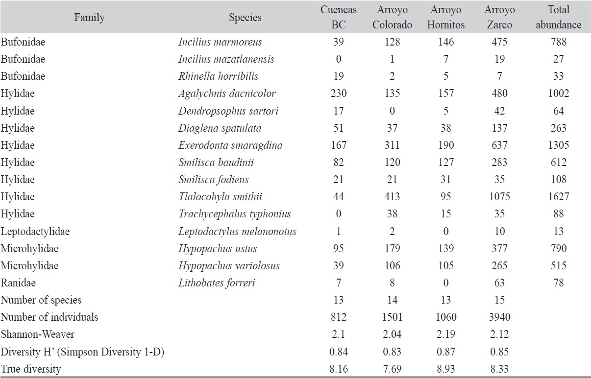 Number of individuals, species richness and diversity indices for anuran species by survey site at Estaci&oacute;n de Biolog&iacute;a Chamela, Jalisco, Mexico.