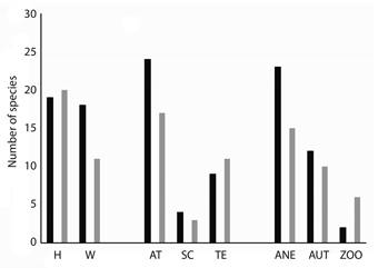 Life form, twining mechanism and dispersal syndrome in cerrad&atilde;o (CE) and Seasonal Deciduous Forest (SDF) in the Serra de Maracaju, Mato Grosso do Sul, Brazil. Life Form: Herbaceous (H), Woody (W); Climbing Mechanism: Apical Twining (AT), Tendrilling (TE), Scandent (SC); Dispersal Syndrome: Anemochory (ANE), Autochory (AUT), Zoochory (ZOO). Seasonal Deciduous Forest (black bars) and cerrad&atilde;o (gray bars).