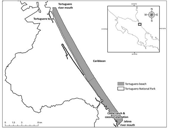 Tortuguero beach location, Tortuguero National Park, Costa Rica.