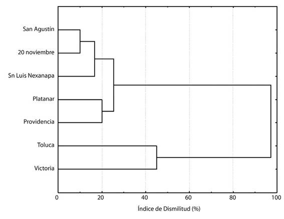 Disimilitud en la composici&oacute;n de hongos micorriz&oacute;genos arbusculares en el suelo rizosf&eacute;rico de Coffea canephora entre siete sitios en fincas cafetaleras de la regi&oacute;n del Soconusco, Chiapas, M&eacute;xico. 