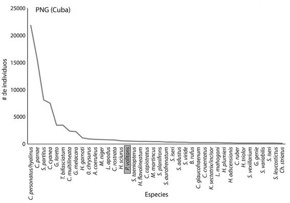 Número de individuos de las 40 especies más abundantes en el Parque Nacional Guanahacabibes (PNG).