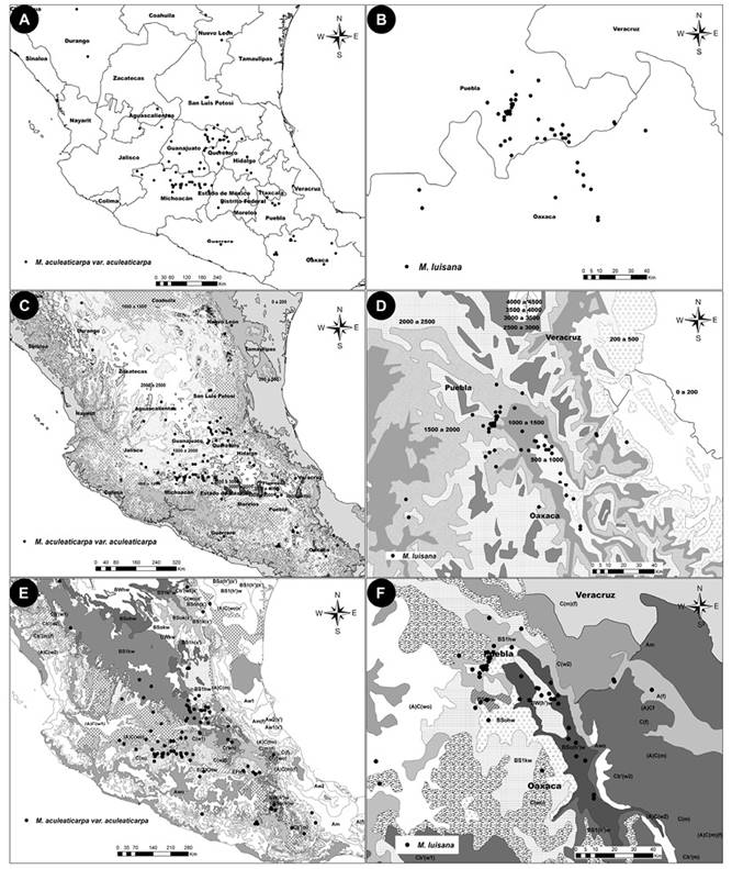 Distribuci&oacute;n conocida (localidades en puntos negros) de M. aculeaticarpa var. aculeaticarpa (A, C, E) y M. luisana(B, D, F), posicionadas sobre las capas de: Estados, escala 1:1 000 000 (A, B); Elevaci&oacute;n (msnm), escala 1:4 000 000 (C, D); y Climas, escala 1:1 000 000 (E, F). 