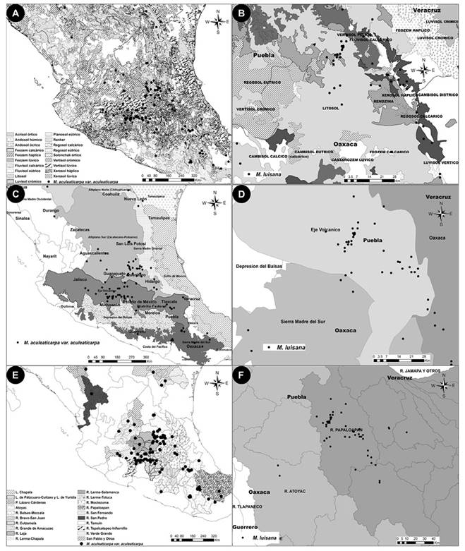 Distribuci&oacute;n conocida (localidades en puntos negros) de M. aculeaticarpa var. aculeaticarpa (A, C, E) y M. luisana(B, D, F), posicionadas sobre las capas de: Suelos, escalas 1:250 000 y 1:1 000 000 (A, B); Provincias biogeogr&aacute;ficas, escala 1:4 000 000 (C, D); y Cuencas hidrol&oacute;gicas, escala 1:250 000 (E, F). 