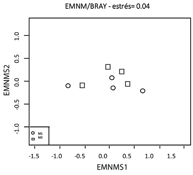 Escalamiento Multidimensional No M&eacute;trico (EMNM, estr&eacute;s = 0.04) de la composici&oacute;n de la comunidad &iacute;ctica en las dos &eacute;pocas de muestreo evaluadas a lo largo de la microcuenca del r&iacute;o Anchique. 