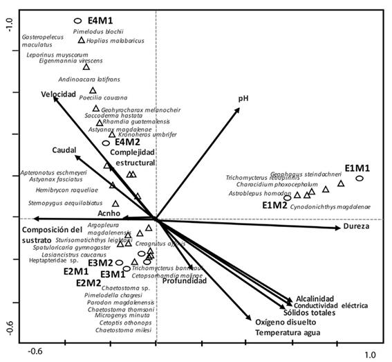 An&aacute;lisis de Correspondencia Can&oacute;nica de las especies, variables ambientales y estaciones evaluadas en la microcuenca del r&iacute;o Anchique. 