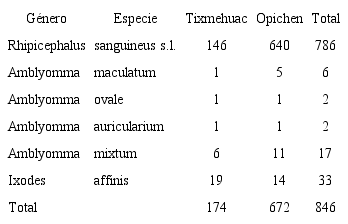 Abundancia de garrapatas recolectadas por especie, en perros de dos comunidades rurales de Yucat&aacute;n, M&eacute;xico TABLE 1: Abundance of tick species collected in dogs of two rural communities in Yucat&aacute;n, Mexico