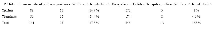 Resultados correspondientes al PCR del gen flaB, en muestras de sangre de perros y garrapatas de las localidades rurales de Opichen y Tixmehuac en Yucat&aacute;n, M&eacute;xico