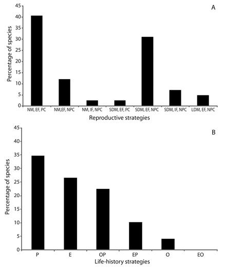 Frequency of species for reproductive (A) and life-history (B) strategies of larvae and juvenile fish captured in the Lower Paranapanema River basin between October 2012 and March 2013. NM = non-migratory; SDM = short distance migratory; LDM = long distance migratory; EF = external fertilization; IF = internal fertilization; PC = parental care; NPC = no parental care; P = periodic; E = equilibrium; O = opportunistic; OP = intermediate opportunistic/periodic; EP = intermediate equilibrium/periodic; EO = intermediate equilibrium/opportunistic.