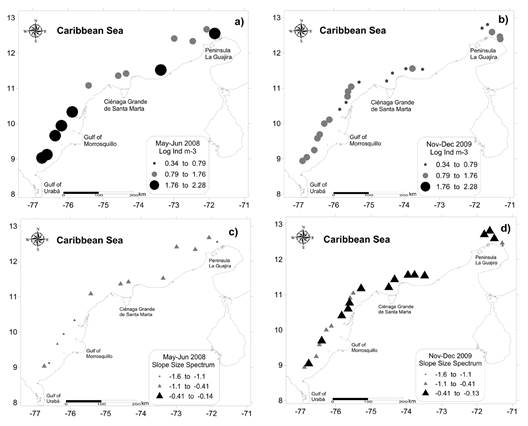 Distribution of zooplankton abundance and the size spectrum slope for May-June 2008 (A, C) and Nov-Dec 2009 (B, D).
