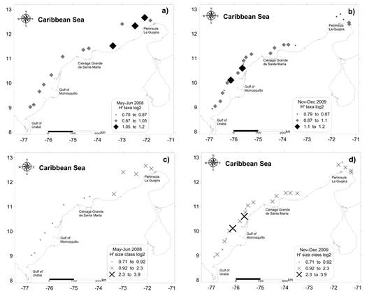 Distribution of the Shannon-Wiener diversity index for taxa and size classes for May-June 2008 (A, C) and November-December 2009 (B, D).