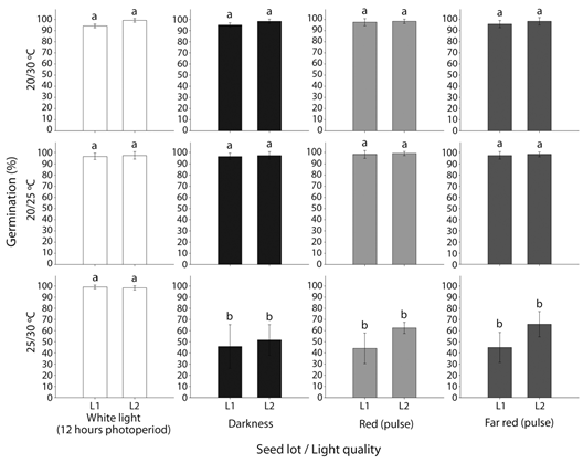 Seed germination of two seed lots (L1 and L2) of Tecoma stans at four light qualities and three alternating temperatures (n = 120 seed per treatment). Vertical bars show the standard deviation. Bars with different letters indicate significance differences (α = 0.05).