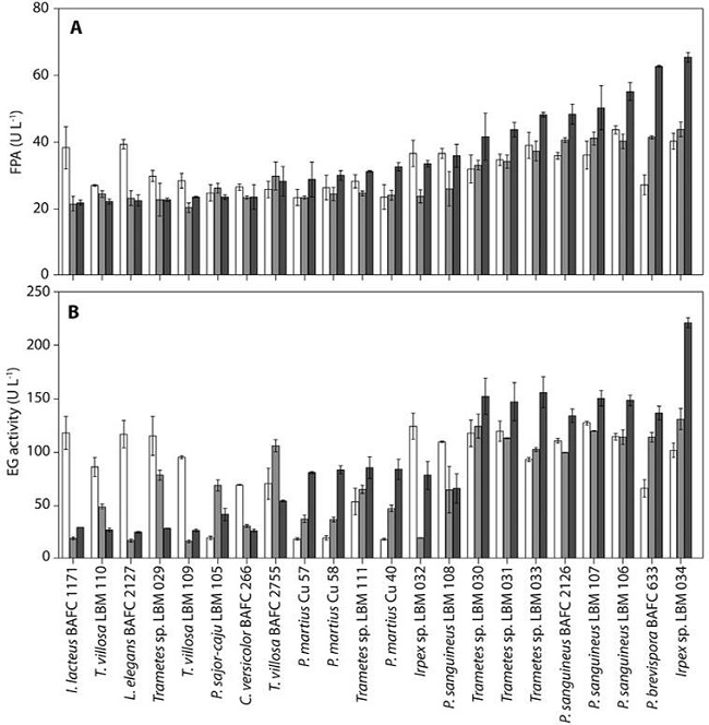 a. Extracellular cellulolytic activity of fungal isolates in submerged culture: Total cellulase activity (FPase). Clear (&pound;), shadowed (&cent;), and filled (&cent;) bars represent 4, 9, and 14 days of incubation, respectively. Data are mean &plusmn; SD of duplicates. b. Endo-β-1,4-glucanase activity (EG). Clear (&pound;), shadowed (&cent;), and filled (&cent;) bars represent 4, 9, and 14 days of incubation, respectively. Data are mean &plusmn; SD of duplicates.