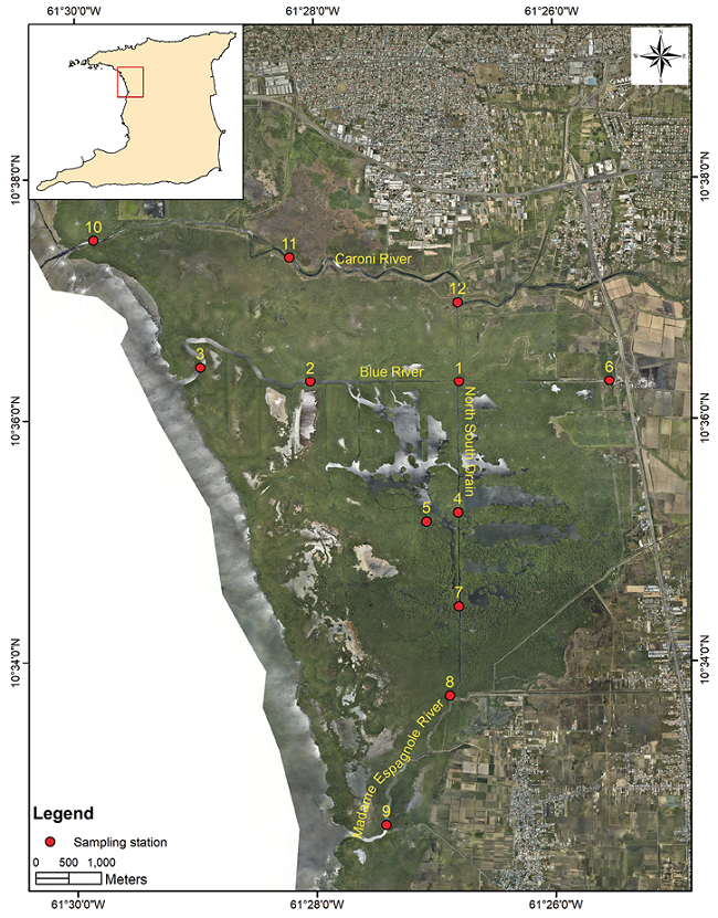 Benthos sampling stations within the Caroni Swamp.
