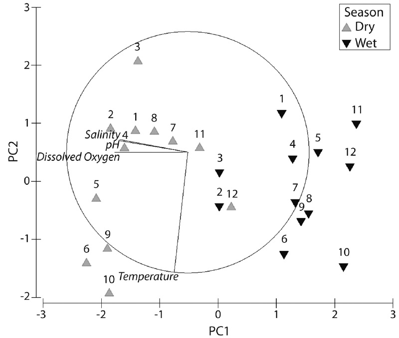 PCA analysis showing variations in the sampling stations for season