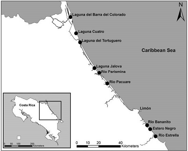 Locations of nine estuaries on the Caribbean coast of Costa Rica. Black dot indicates location of sample estuary.