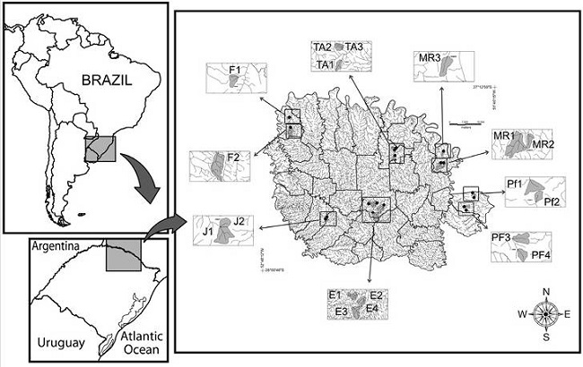 Geographical localization and distribution of the streams studied in southern Brazil.