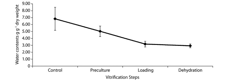 Water loss during desiccation of G. hombroniana shoot tips after each vitrification step. Bars represent standard deviation.