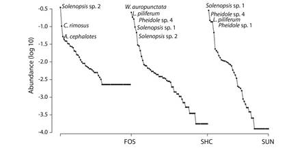 Relative abundance curves for ant species in three contrasting soil usage. FOS: forests, SHC: coffee with shade and SUN: unshaded coffee.