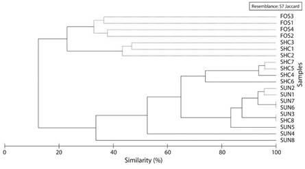 Ant assemble associated to the different soil uses in the Cauca coffee area, based on Jaccard similarity index. Continuous lines show statistically different groups according to SIMPROF, while dotted lines the groups not statistically separated by SIMPROF. FOS: forests, SHC: coffee with shade and SUN: unshaded coffee.