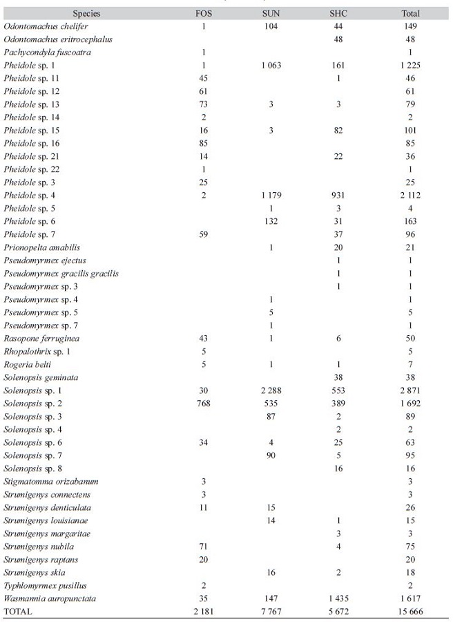 List of the ant species found in each soil use. FOS: forests, SHC: coffee with shade and SUN: unshaded coffee