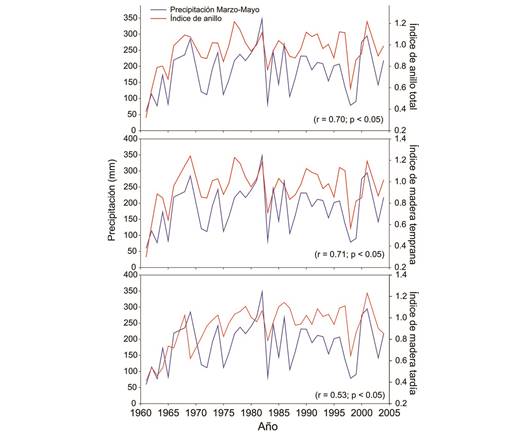 Relationship between March-May seasonal precipitation and total annual ring width, earlywood and latewood indexes of Pinus oocarpa.