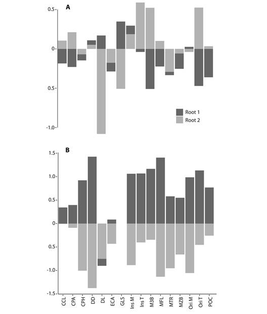 Comparison of variable loadings from two CVA analyses of A. original and B. size corrected measurements.