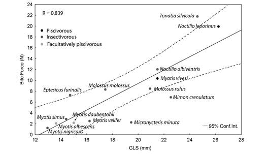 Relationship between bite force and skull size (GSL) in bats with piscivorous and insectivorous feeding habits. Bite force for Myotis vivesi was well predicted by its GLS as it fell within the 95 % confidence interval (dashed lines) of the regression.
