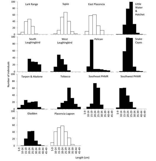 Length distributions of H. mexicana found inside (black fill) and outside (white fill) boundaries of marine protected areas. See Supplementary material 1 for collection site geographic coordinates, depth and MPA proximity and Fig. 1 for map of collection sites.