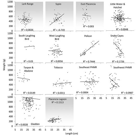 Length and eviscerated wet weight relationship of H. mexicana found inside (no fill) and outside (gray fill) boundaries of marine protected areas. See Supplementary material 1 for collection site geographic coordinates, depth and MPA proximity and Fig. 1 for map of collection sites.