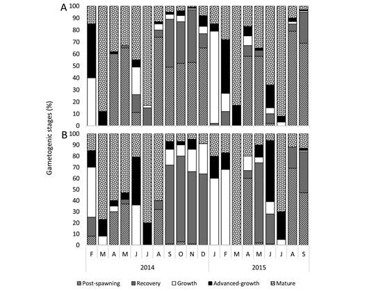 Monthly percentage of each gametogenic stage for (A) males and (B) females from February 2014 to September 2015.