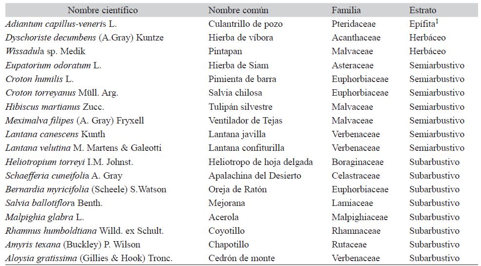 Scientific name, common name, family and stratum of the species present in the study area respectively ordered by family