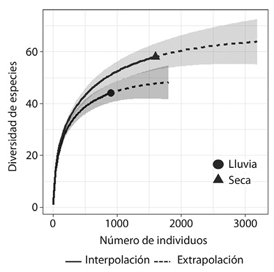 Curva de acumulaci&oacute;n de especies para cada temporada clim&aacute;tica en el &aacute;rea de estudio de la Amazon&iacute;a brasilera. El &aacute;rea sombreada corresponde al nivel de confianza en un 95 %.
