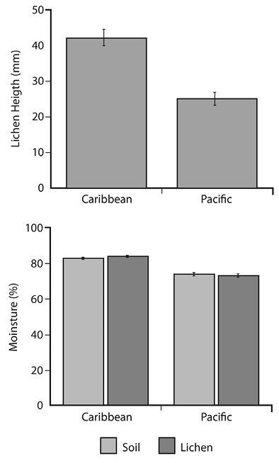 Relative humidity of soil and lichens, and lichen height, in the Cerro de la Muerte paramo (Caribbean versus Pacific versants; error bars represent the standard error of the mean).