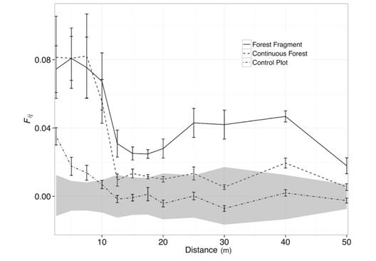 Kinship estimates relative to distance between seedlings of Symphonia globulifera (Clusiaceae) in a forest fragment (solid line), a continuous forest (dashed line) and a control plot (dash-dot line). See text for details. The shaded area represents the 95 % confidence envelope about the null hypothesis of no spatial genetic structure for the forest fragment, however similar conclusions are drawn with 95 % confidence intervals for the continuous forest. Fij : kinship coefficient. Error bars depict standard errors for kinship coefficient estimates.