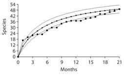 Species accumulation curve obtained from 21 sampling months; ─■─: data obtained from sampling, ─●─: Jacknife estimate, ───: upper and lower 95 % confidence limits of Jacknife estimate.