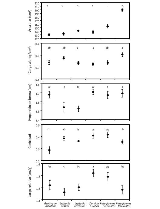 Promedio (&plusmn; EE) de cinco variables morfom&eacute;tricas alares de las seis especies de palomas incluidas en este estudio. Especies con la misma letra no son significativamente diferentes seg&uacute;n la prueba a posteriori de Tukey.