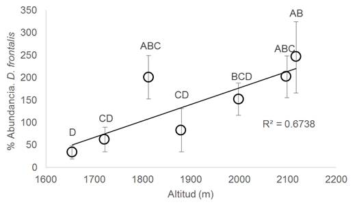 Relationship between the percentage of abundance and altitude in D. frontalis.